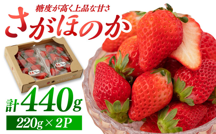 【先行予約】さがほのか 220g×2パック  【鐘ヶ江農園】 [IBH018]