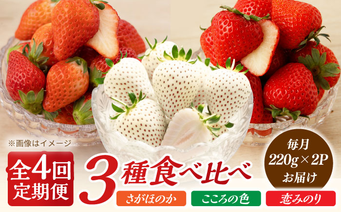【先行予約】【4回定期便】さがほのか・恋みのり・こころの色 220g×2パック×4回  【鐘ヶ江農園】 [IBH019]