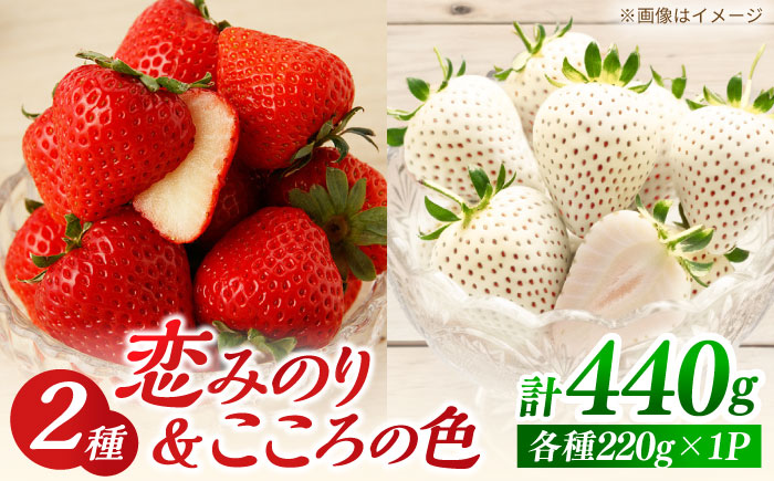 【先行予約】恋みのり・こころの色 220g×2パック（各1パック）  【鐘ヶ江農園】 [IBH020]