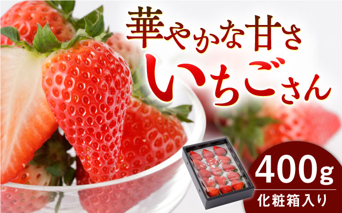 【先行予約】【農家直送】【化粧箱入り】いちごさん（400g）【StrawberryFarm-K】イチゴ [IBJ002]