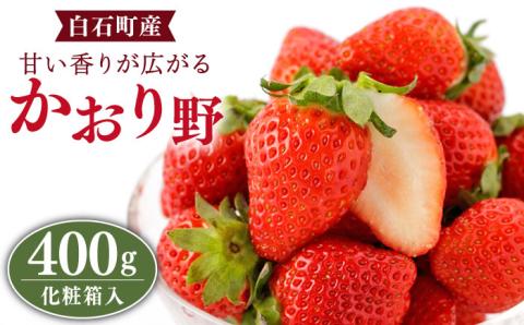 【先行予約】【化粧箱入り】ギフトにおススメ！ かおり野 400g 【StrawberryFarm-K】いちご [IBJ005]