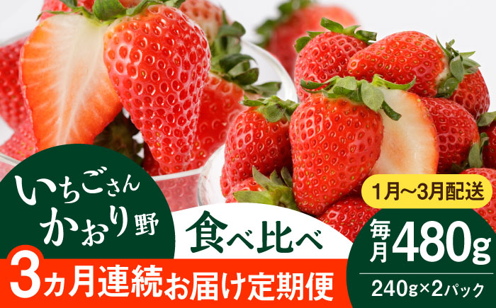 【R8年1月以降発送】【3回定期便】赤いちご食べ比べ！かおり野＆いちごさん【StrawberryFarm-K】イチゴ [IBJ007]