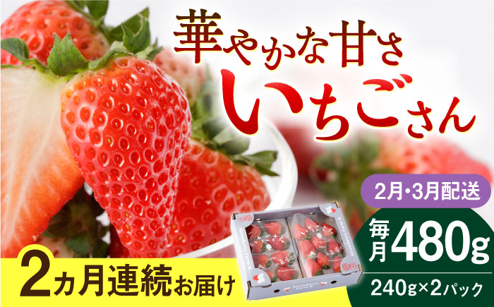 【R8年2月以降発送】【2回定期便】いちごさん 240g×2パック（2・3月配送）【StrawberryFarm-K】イチゴ [IBJ008]