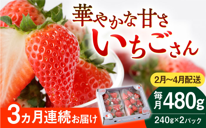 【R8年2月以降発送】【3回定期便】いちごさん 240g×2パック（2-4月配送）【StrawberryFarm-K】イチゴ [IBJ009]