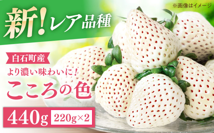 【R8年1月以降発送】【幻の白いちご】 こころの色 220g×2パック 【StrawberryFarm-K】 [IBJ010]