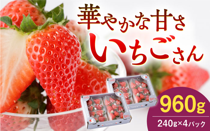 【先行予約】いちごさん 240g×4パック 【StrawberryFarm-K】 イチゴ [IBJ011]