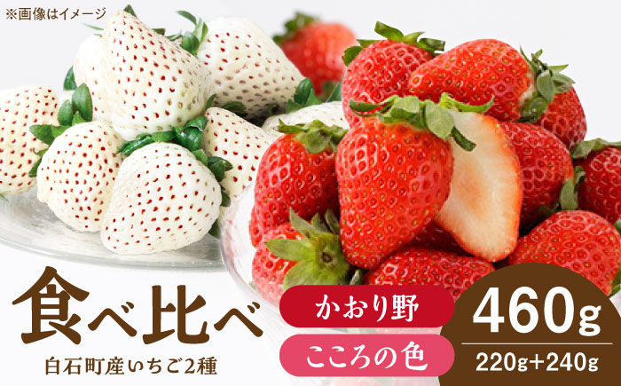 【R8年1月以降発送】こころの色×かおり野 紅白いちごセット 計460g （こころの色220g、かおり野240g）【StrawberryFarm-K】 紅白いちご 希少 いちご 果物 フルーツ かおり野 セット  [IBJ024]