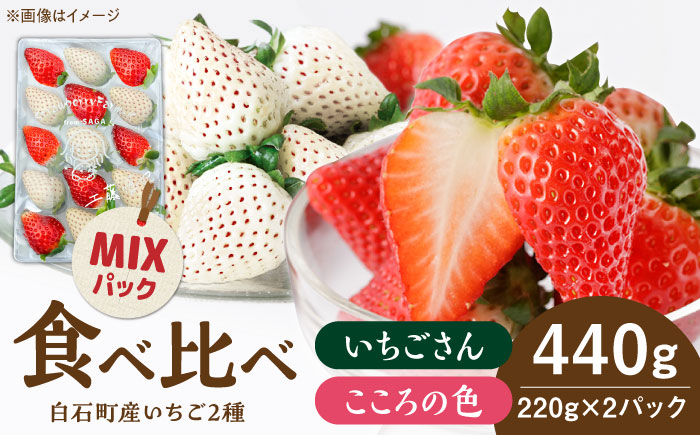 【R8年1月以降発送】こころの色×いちごさんミックス 紅白いちごセット 計440g（220g×2パック） 【Strawberryfarm-K】 紅白いちご 希少 いちご 果物 フルーツ いちごさん セット [IBJ026]