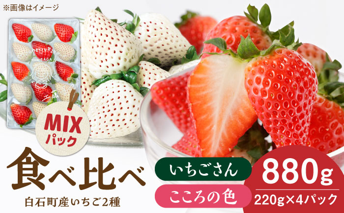 【R8年1月以降発送】こころの色×いちごさんミックス 紅白いちごセット 計880g（220g×4パック） 【Strawberryfarm-K】 紅白いちご 希少 いちご 果物 フルーツ いちごさん セット [IBJ027]