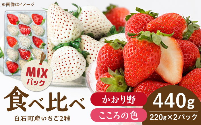 【R8年1月以降発送】こころの色×かおり野ミックス 紅白いちごセット 計440g（220g×2パック） 【Strawberryfarm-K】 紅白いちご 希少 いちご 果物 フルーツ かおり野 セット [IBJ028]
