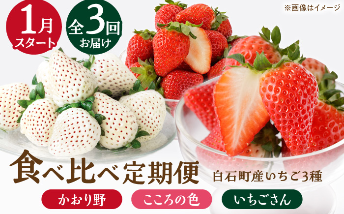 【R8年1月以降発送】【全3回定期便】3種の食べ比べ定期便（1） 【StrawberryFarm-K】 [IBJ030]
