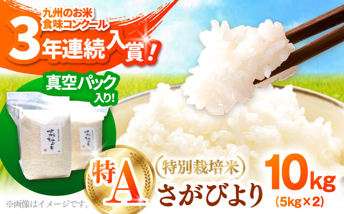 【令和7年度産】【九州米・食味コンクール3年連続入賞！】こだわりの さがびより 10kg（白米）【白浜農産】お米 [IBL001]