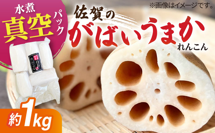 【お手軽調理！】白石町産 水煮れんこん 計1kg（真空パック）【有限会社白石開発】蓮根 れんこん レンコン [IBN005]