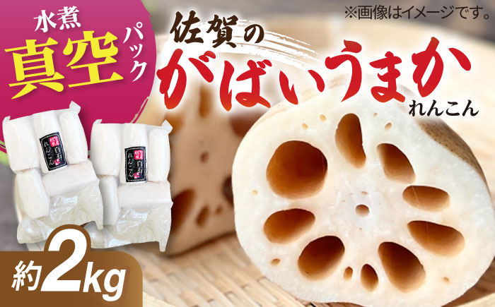 【お手軽調理！】白石町産 水煮れんこん 計2kg（真空パック）【有限会社白石開発】蓮根 れんこん レンコン [IBN007]