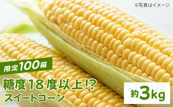 【先行予約】糖度18度以上！？スイートコーン約3kg 【井崎農園】とうもろこし [IBP003]