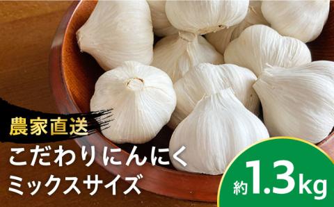 【農家直送！】こだわり にんにく 大小サイズいろいろ 約1.3kg【一ノ瀬農園】ニンニク ガーリック スパイス [IBQ001]