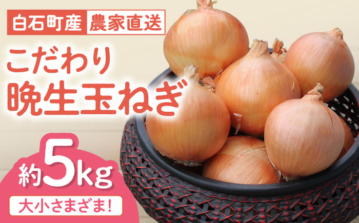 【農家直送！】こだわり 晩生 玉ねぎ 約5kg【一ノ瀬農園】たまねぎ 玉葱 [IBQ010]