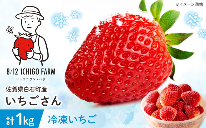 冷凍いちご（いちごさん）1kg 【8/12ICHIGOFARM】 [IBR004]
