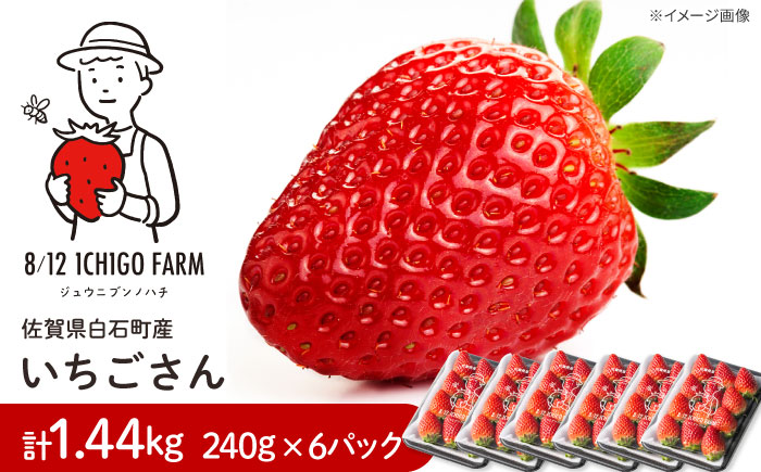 【R8年2月以降発送】いちごさん 240g×6パック 【8/12ICHIGOFARM】 [IBR007]