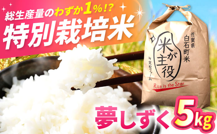 【先行予約】【令和7年度産】こだわりの特別栽培！ 夢しずく 5kg 【有限会社定松ファーム】米 お米 [IBV003]