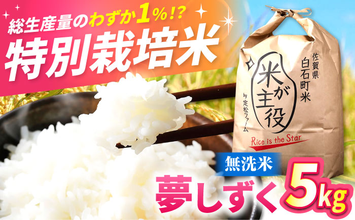 【先行予約】【令和7年度産】こだわりの特別栽培！ 無洗米 夢しずく 5kg 【有限会社定松ファーム】米 お米 [IBV004]