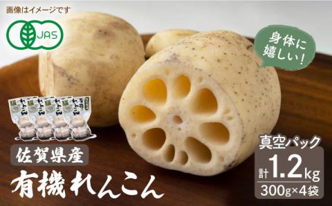 有機JAS れんこん 真空パック入り 300g×4袋（計1.2kg）【有限会社マルハ園芸】 [ICC001]