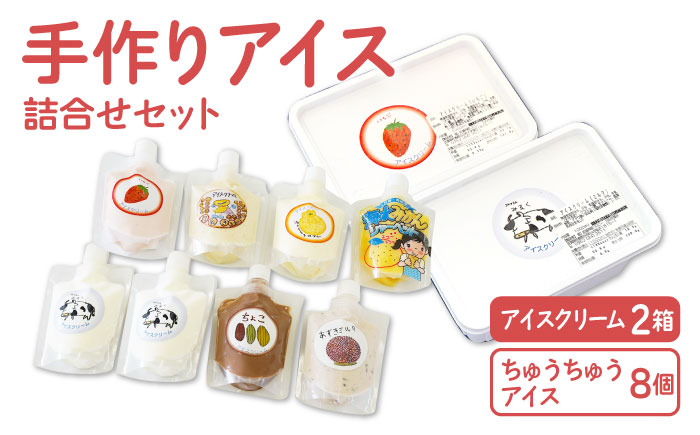 【大容量！おやつにピッタリ♪】手作りアイス詰め合わせ【佐賀西部コロニー白石作業所】洋菓子 [ICL003]