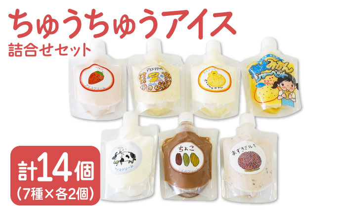 【小さいお子様にもおすすめ！】ちゅうちゅうアイス（チューブ入り）詰め合わせ【佐賀西部コロニー白石作業所】洋菓子 [ICL004]