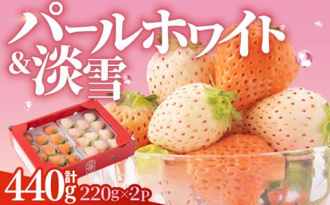 【先行予約】【産地直送】白石産 希少 白いちご「淡雪」＆「パールホワイト」食べ比べ セット【ハヤシだファーム】イチゴ [ICQ001]