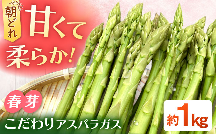 甘くやわらか！こだわり 春芽 アスパラガス 約1kg【ふぁふぁふぁーむ】アスパラ [ICS001]