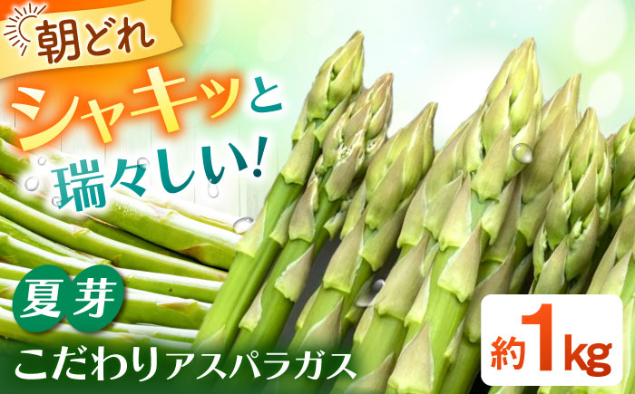 甘くやわらか！こだわり 夏芽 アスパラガス 約1kg【ふぁふぁふぁーむ】アスパラ [ICS002]