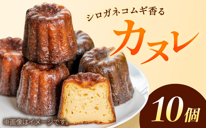 シロガネコムギ香る カヌレ 【ドライブイン館】洋菓子 [ICZ002]