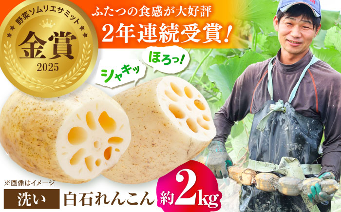 【野菜ソムリエサミット金賞】白石町産 絶品洗いれんこん約2kg【野中農園】 [IDC002]