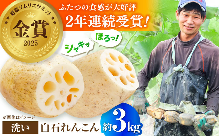 【野菜ソムリエサミット金賞】白石町産 絶品洗いれんこん約3kg【野中農園】 [IDC003]