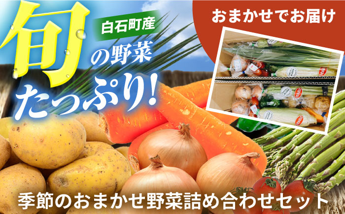 【野菜たっぷり♪】白石町産季節のおまかせ野菜詰め合わせセット【株式会社いち】農家 [IDD002]