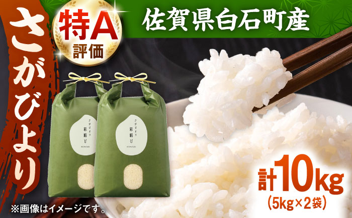 【令和7年産】 さがびより 計10kg（5kg×2袋）【ちわたのふぁーむ】お米 [IDE002]