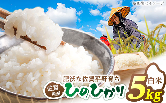 ヒノヒカリ 白米 5kg 【片渕農園】 [IDG003]