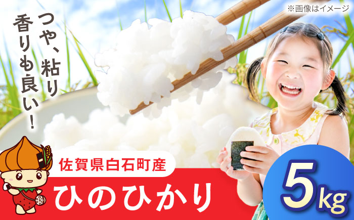 ひのひかり（白米）5kg 【farmY.style】 [IDL006]