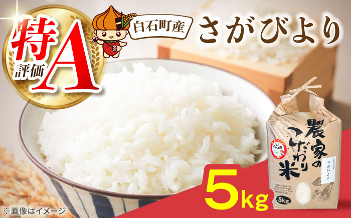 さがびより5kg 【直売所にじ】 米 5kg  精米 特A 特A評価  佐賀県産 国産米 コメ こめ お米 白米 ブランド米 精白米 おにぎり さがびより 九州 佐賀県 白石町 人気 おすすめ[IDO001]