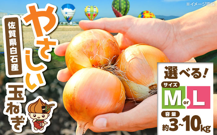 【やさしい玉ねぎ】白石産玉ねぎ 約10kg（Lサイズ）【川崎ファーム】 [IDQ006]