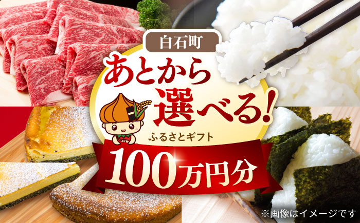 【あとから選べる】白石町ふるさとギフト 100万円分 / あとから寄附 [IZY019]