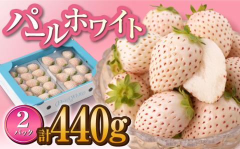 【先行予約】上品な甘さ！希少な白いちご「パールホワイト」220g×2パック / イチゴ [IZZ003]