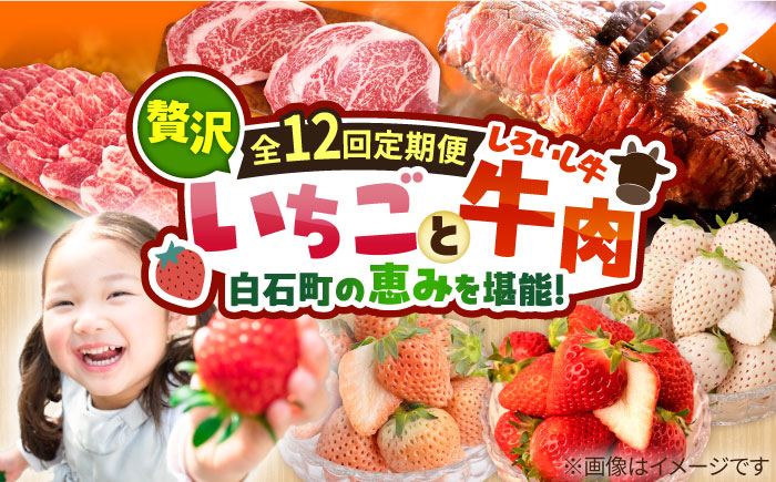 【R8年1月以降発送】【先行予約】【全12回定期便】産地直送！白石町産 いちごと牛肉の贅沢定期便 [IZZ010]
