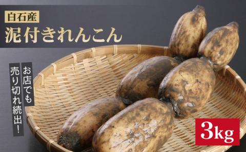 【年内発送】レンコンの名産地！白石町産 泥付き れんこん（3kg） /レンコン 蓮根 佐賀県産 野菜 根菜 高品質 [IZZ011]