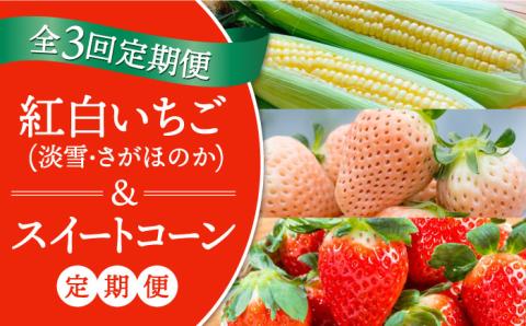 【先行予約】【全3回定期便】紅白いちご（淡雪・さがほのか）とスイートコーン / イチゴ [IZZ016]