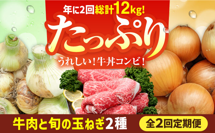 【2026年発送分先行予約！】【2回定期便】牛丼コンビ！牛肉 と 玉ねぎ / 切り落とし 玉葱 新玉 九州 [IZZ031]
