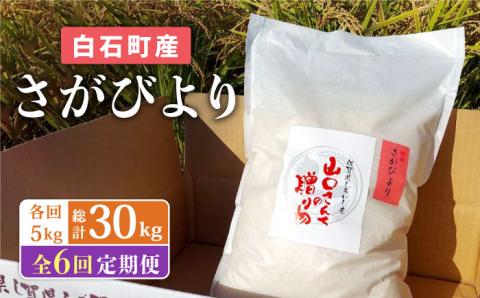 【令和7年11月以降発送】【全6回定期便】 特別栽培米 さがびより（白米） 5kg×6回（計30kg） 山口さんちの贈り物 【y'scompany】 お米 [IAS016]