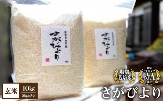 [令和5年産][九州米・食味コンクール3年連続入賞!]こだわりのさがびより 10kg(玄米)[白浜農産]米 お米 玄米 