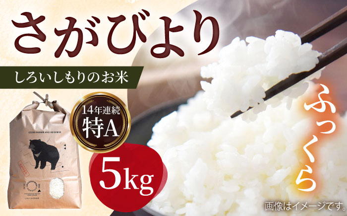 [農家直送!]しろいしもりのお米 さがびより 5kg[Sunrise328]米 お米 白米 