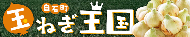 玉ねぎ特集